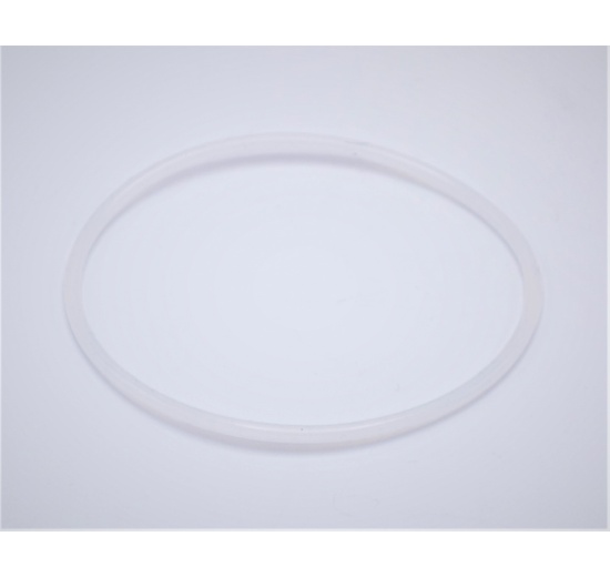 Joint torique de rechange pour filtre cylindrique intérieur DN50, matériau silicone (VMQ)