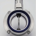 mâles G-G | DN65 inox vanne papillon