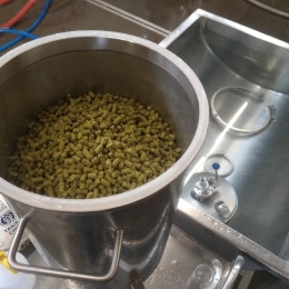 Hopsdrop en détail - le réservoir pour l'houblonnage à froid