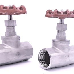 Vanne à soupape, d'arrêt, en acier inoxydable | 1 1/2”