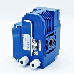 Actionneur électrique à vitesse unique - 80 Nm