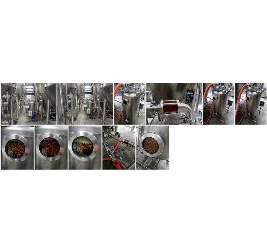 Houblonneur á froid pour le dry hopping (pour l'houblonnage à froid) HR 500