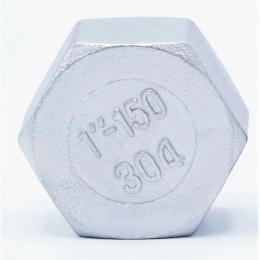 Bouchon femelle inox type 326  1"