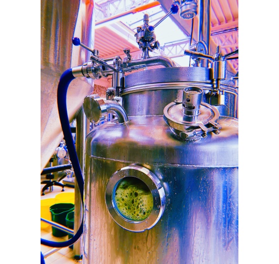 Houblonneur á froid pour le dry hopping (pour l'houblonnage à froid) HR 500