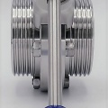 inox sanitaire vanne papillon DIN