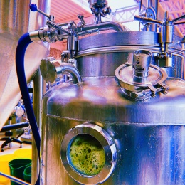 Houblonneur á froid pour le dry hopping (pour l'houblonnage à froid) HR 500