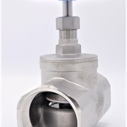 Vanne à soupape, d'arrêt, en acier inoxydable | 2 1/2”